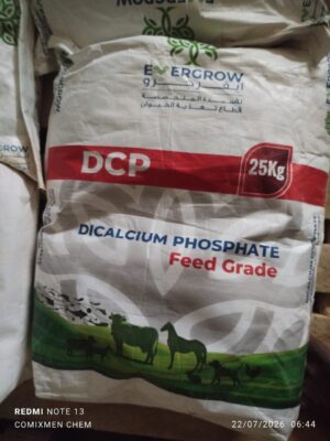 Dicalcium phosphate DCP